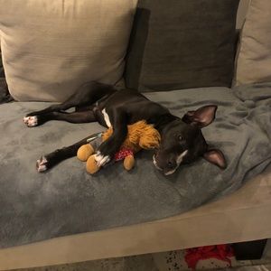 Meet your Posher, Jenna